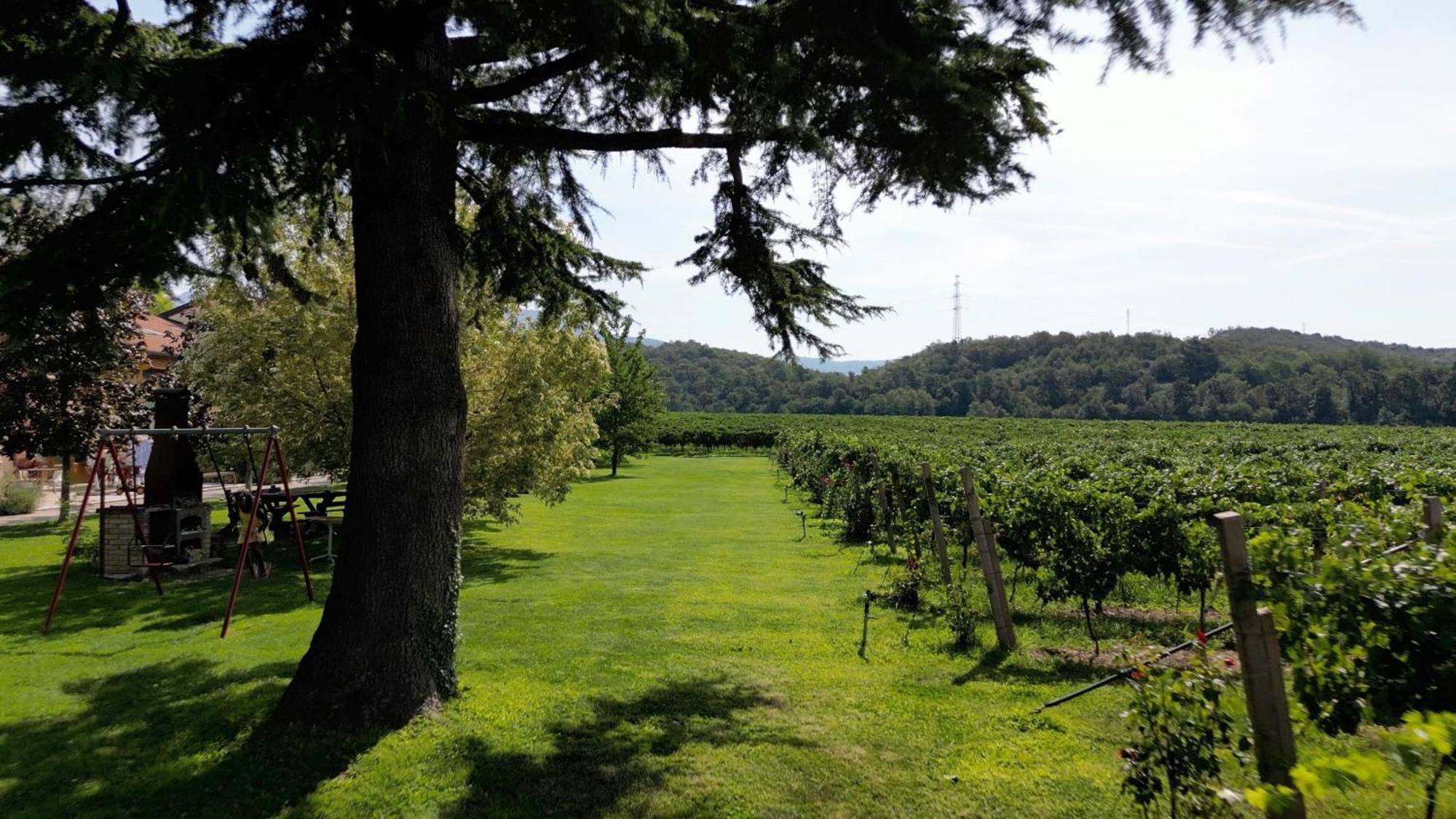 Agriturismo Corte Patrizia Caprino Veronese Zewnętrze zdjęcie
