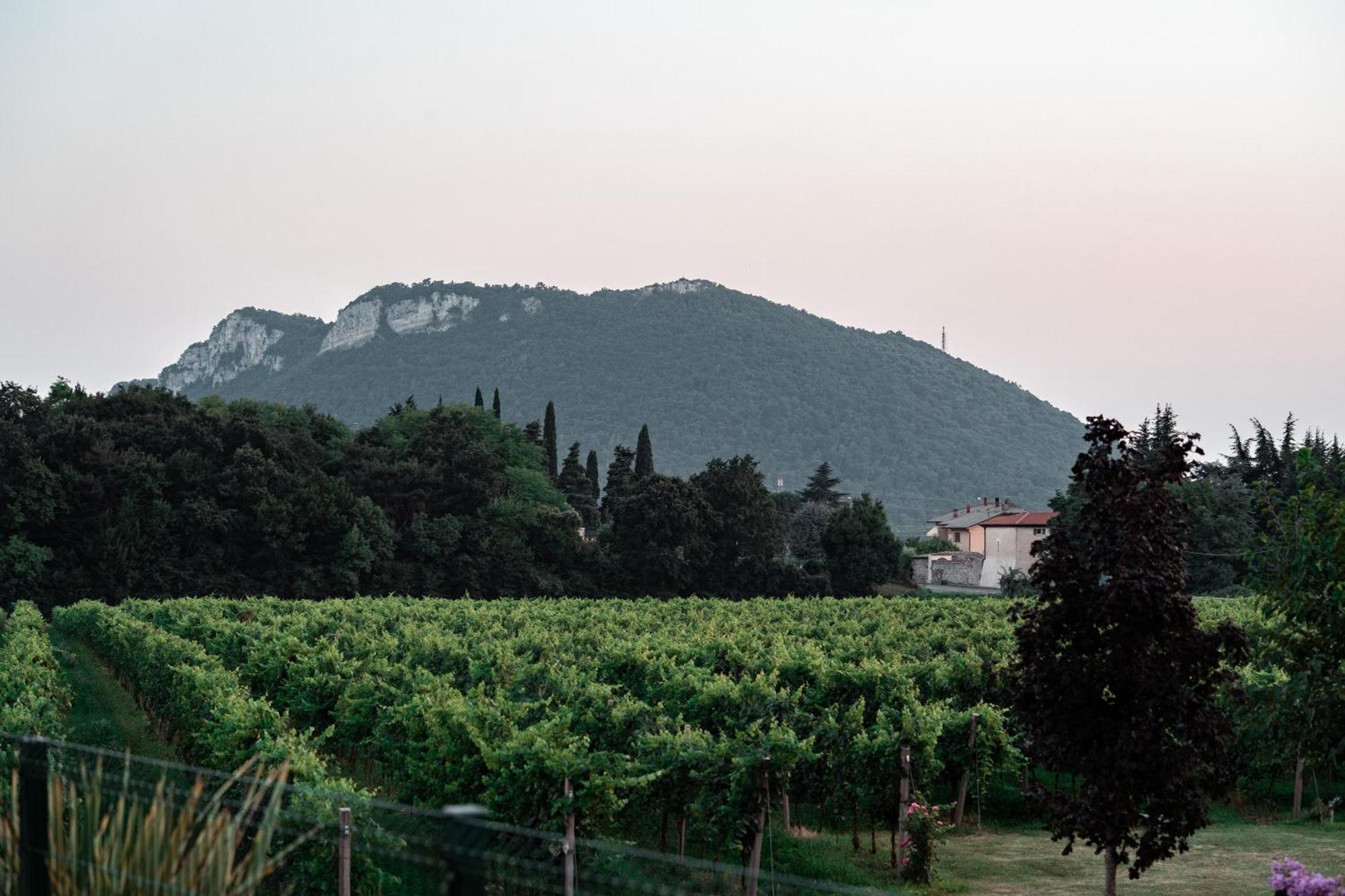 Agriturismo Corte Patrizia Caprino Veronese Zewnętrze zdjęcie