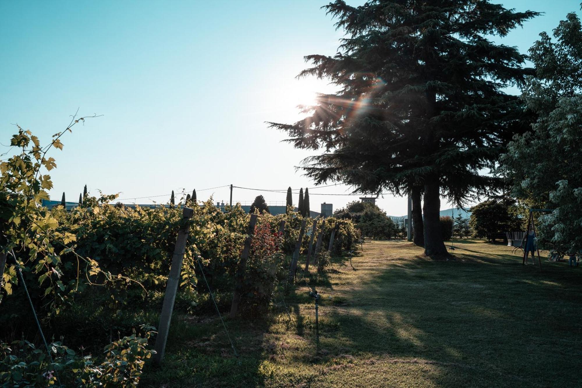 Agriturismo Corte Patrizia Caprino Veronese Zewnętrze zdjęcie