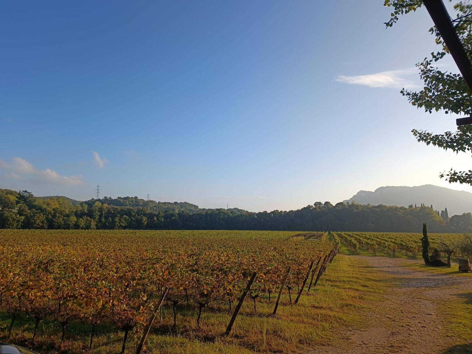 Agriturismo Corte Patrizia Caprino Veronese Zewnętrze zdjęcie