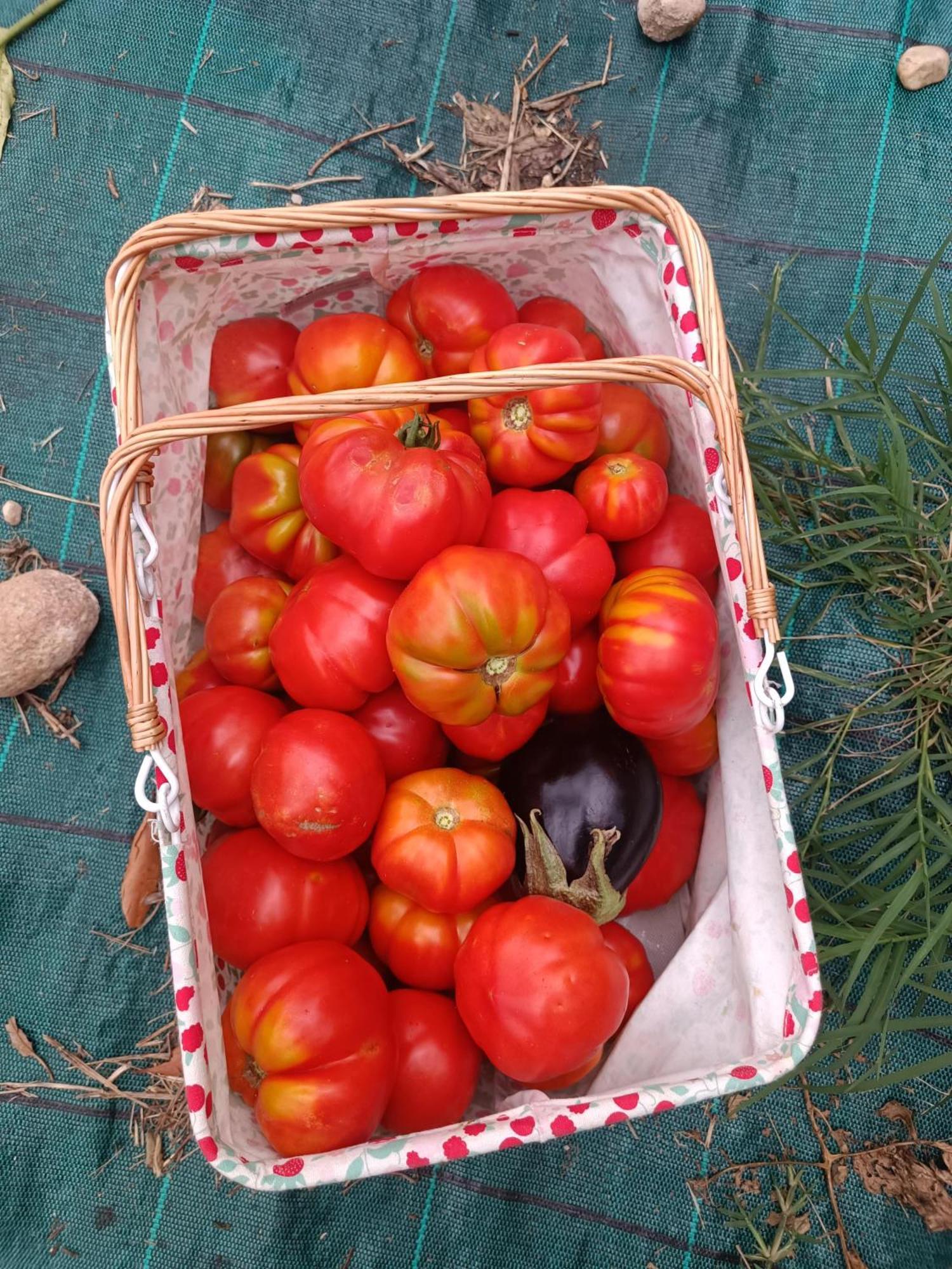Agriturismo Corte Patrizia Caprino Veronese Zewnętrze zdjęcie